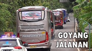GOYANGAN TERBAIK BUS PREMIUM Pandawa 87 | Lengkap dengan TELOLET