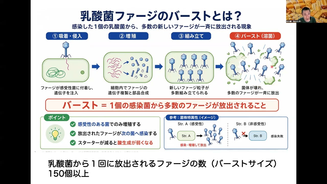 2026チーズの栄養2