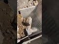 The Giant Awakens⚒️Ultimate Excavator Power in Action! #ig247