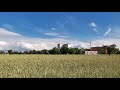 En el campo la vida es más sabrosa