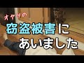 【現行ニャン逮捕】一瞬の隙におやつを奪い去るプロ猫の仕業に驚愕。犯人はいったい誰だ！