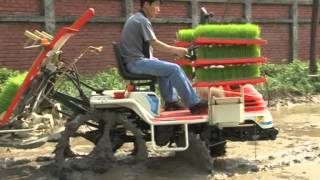 Transplanter & Combine by ACI Motors Limited (Bangladesh)