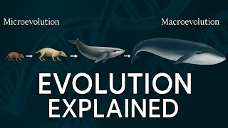 Evolution Explained: Creationism Vs Evolution