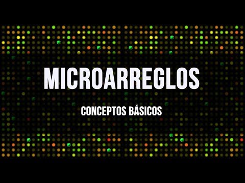 Vídeo: Evaluación Crítica Del Illarina MethylationEPIC BeadChip Microarray Para Perfiles De Metilación De ADN De Genoma Completo