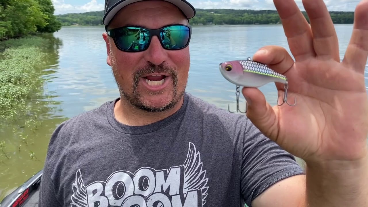 Shimmer Shad ima Suspending Vibration with Fred Roumbanis