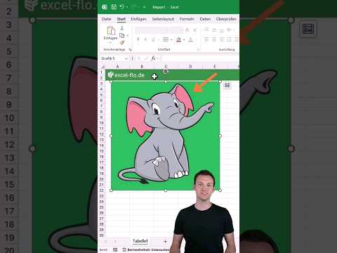 Bilder in Excel