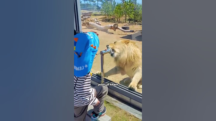 تجربة مذهلة في حديقة الحيوان 🦁!