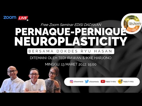 PERNAQUE-PERNIQUE NEUROPLASTICITY