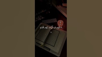 تلاوة جميلة ومؤثرة تلامس القلب وتجعلنا نتأمل في كلام الله