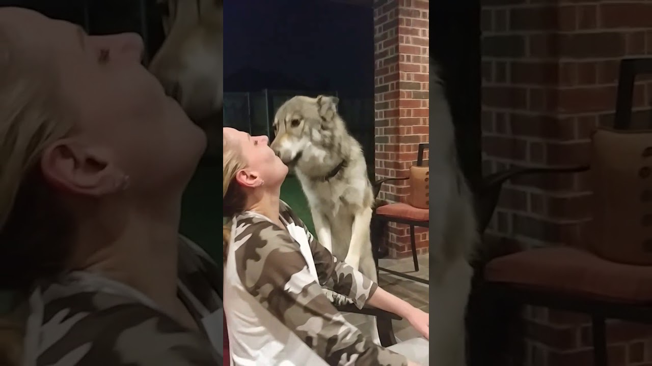 Stormy, sirens, & singing #shorts