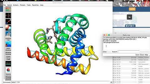Energy minimization for a wild type and mutant protein in UCSF Chimera.