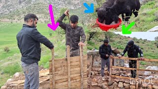 Boarding around the hut in heavy rain by Ehsan and Mahdi