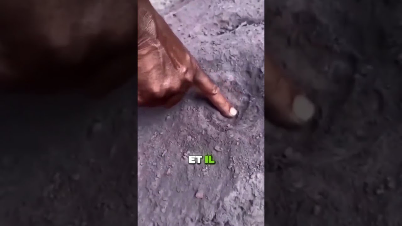 N Approche Pas Ta Main De Cette Boue 