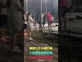 護妻出手全網炸鍋　小孩遭推疑雲延燒　未拍前段真相成謎【冬星新聞】