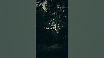 قران كريم بصوت الشيخ خالد الجليل 🤍 #quran #اكسبلور