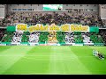 TIFO |  Hammarby vs Häcken | Damallsvenskan 2023