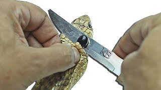 كامل بدوي - خدعة استخراج حجر الثعبان - 222 - Kamel Badawi - Snakes' stone