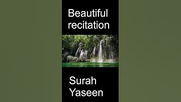 Yaseen (Ya-Sin/سورة يس) #surah #yaseen #quran #