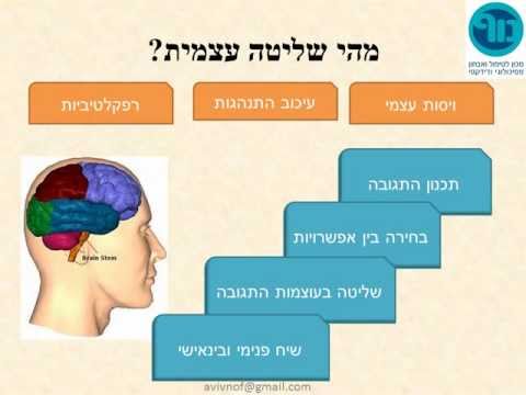 וִידֵאוֹ: 10 כללים של האופטימיסט