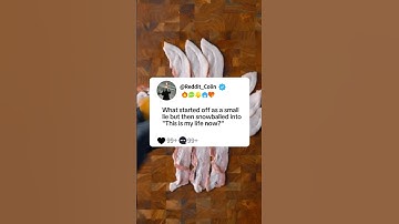 What started off as a small lie but then snowballed into"This is my life now?"#reddit #story