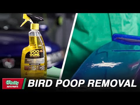 How To: Remove Bird Poop From Car Paint 