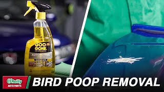 Bird Dropping Stain Removal Guide: What To Do After You Say Yuck!