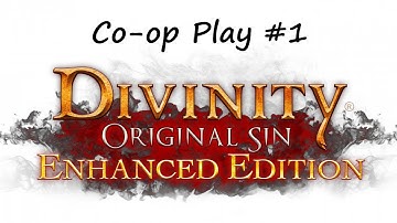 Divinity: Original Sin. EP 1 Character creation.