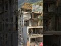 Watch an Abandoned Forest House Come Back to Life | Restoration Timelapse #animation  #timelapse