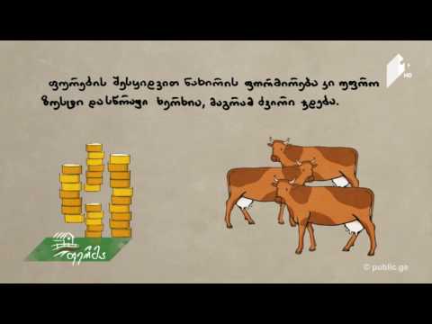 ფერმერის სარჩევი: დეკეულებითა და უშობელებით ნახირის დაკომპლექტება