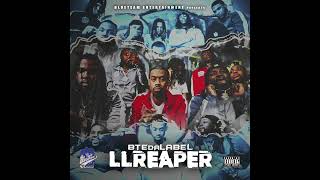 BTE Mojo x Deeskiee Dub Bacc 2 Bacc (Official Audio)
