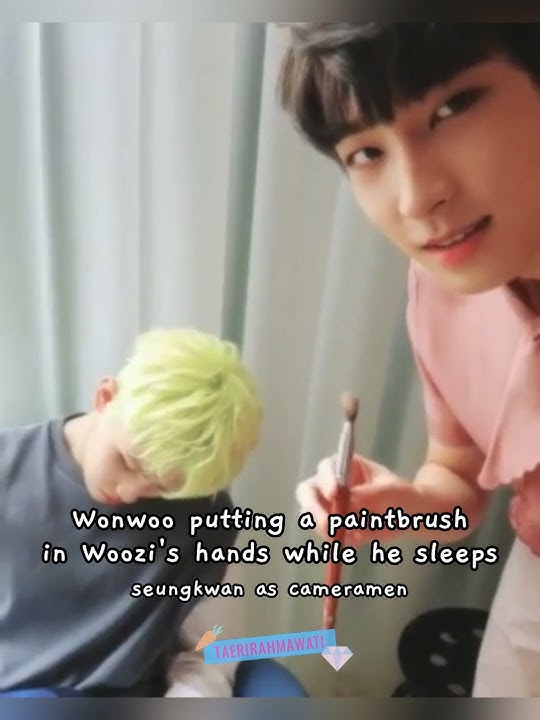 wonwoo pranking woozi with a paintbrush 😭😂🖌 #seventeen #wonwoo #woozi #seungkwan