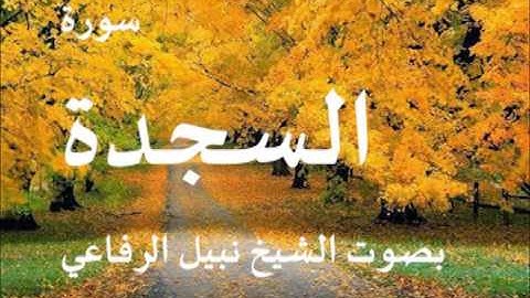 سورة السجدة بصوت الشيخ نبيل الرفاعي