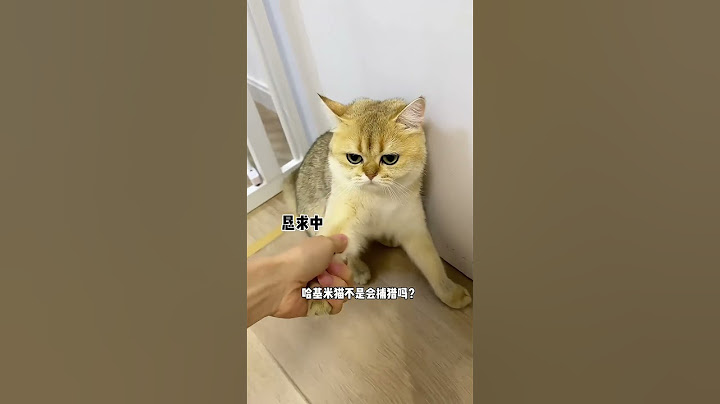 【牛奶是只猫】不是说猫咪天生会捕猎的吗？？
