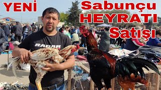 Sabunçu bazarı heyratı satışı (sadəcə) 24.04.22 #mubarizemintv #sabuncutoyuqbazari #sabuncuqusbazari