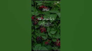 #القرآن #القران_الكريم تلاوة خاشعة. سورة النصر #تلاوة ♡♡اذا جاء نصر.الله والفتح