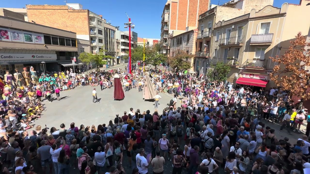 Trenta-sisena trobada de gegants i capgrossos de Molins de Rei.