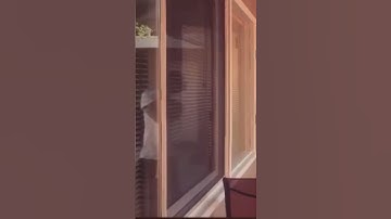Thumbnail of DPR IAN latest instagram feeds update | Song: You weren’t meant to see that