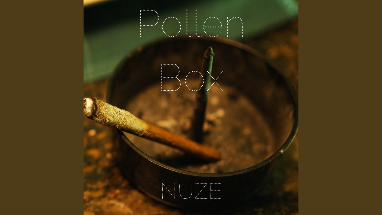 Watch Pollen Box on YouTube Watch Pollen Box on YouTube