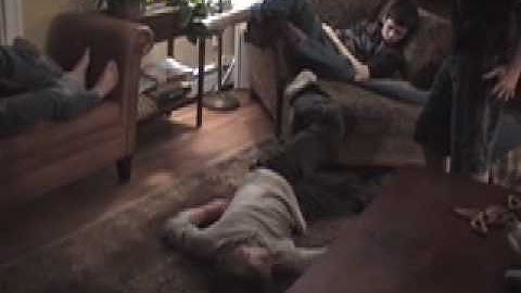 TGoF: Ep. 9: This Domain Name is Now for Sale (Tanya