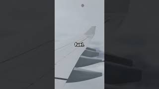 invideo ai 1080 The Secret Behind Airplane Winglets  Eff 2025 04 15