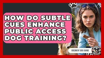 How Do Subtle Cues Enhance Public Access Dog Training? | Obedient Dog Guide