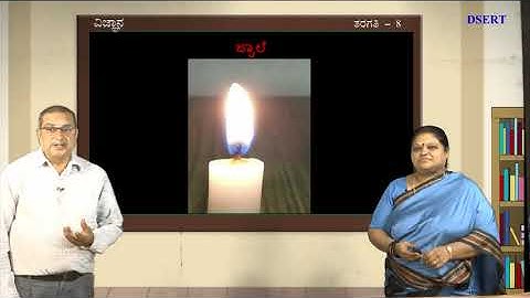 Bridge Course - Science - 8th - Day 11