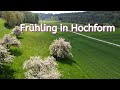 Frhling in hochform