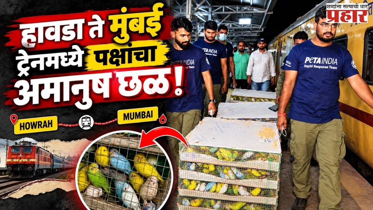 Gitanjali Express Birds Rescue | गीतांजली एक्सप्रेसमध्ये आढळलेल्या पक्षांना अखेर न्याय | Mumbai |