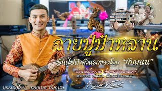 ลายปู่ป๋าหลาน "พิณไฟฟ้าตัวแรกของโลก" อายุ 53 ปี บรรเลงโดย : ทองเบส ทับถนน