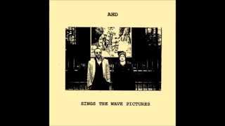 André Herman Düne (sings The Wave Pictures) - I shall be a Ditchdigger
