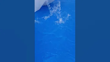 صوت الماء 