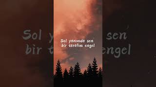 Sol Yanımda Sen Bi Tarafım Engel #music #müzikdiyarı Resimi