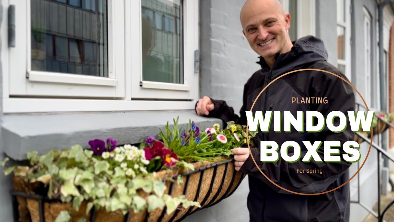 Planting Window Boxes (to save water) | Perennial Garden - YouTube