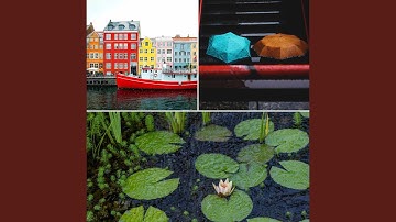 Paradise Like Moods for Work from Home Rain